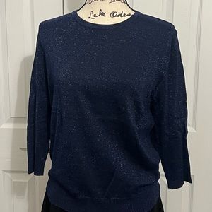Navy shimmer sparkle thin sweater
